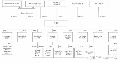 重塑資本之路 后疫情時(shí)代頂級(jí)手套再?zèng)_刺港股的戰(zhàn)略考